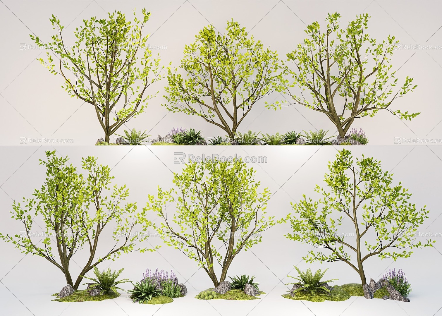 Arbor Landscape Plants Courtyard Tree Model Tree Street Tree 3d model