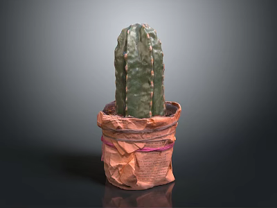 Green Cactus Plant In Newspaper Wrapped Pot With Pink Ribbon Decoration 3d model