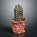 Green Cactus Plant In Newspaper Wrapped Pot With Pink Ribbon Decoration