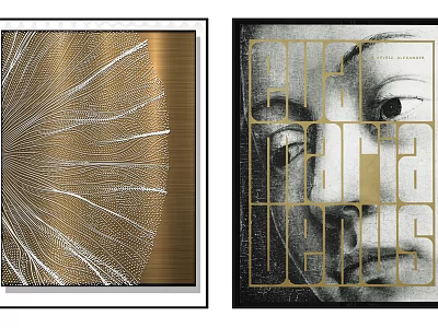 Modern Abstract Wall Art Decorations With Gold Geometric Patterns And Portrait Elements 3d model