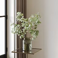 Green Eucalyptus Leaves in Textured Glass Vase on Gold Metal Table with Window Curtains for Indoor Decoration