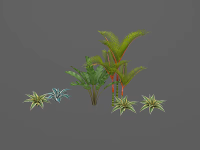 Various Green Plants With Different Leaf Shapes Including Fern Palm And Succulent Types 3d model