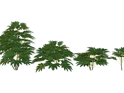 Green Leafy Shrubs In Various Sizes For Garden Landscape Decoration 3d model