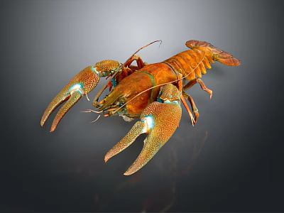 Modern Lobster Big Lobster Crystal Lobster 3d model