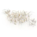 Dry Grass With Light Brown And Golden Thin Sparse Growth Against White Background