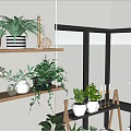 Stylish Indoor Bonsai Potted Plants Display With Shelves And Various Greenery