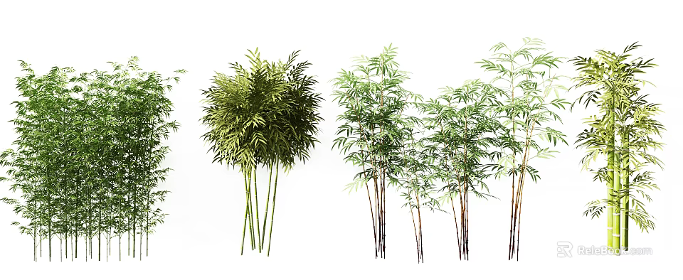 Diverse Bamboo Plants with Various Heights and Green Leafy Foliage 3d model 
