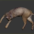 Lynx with Brown Spotted Fur Lying on Reflective Surface with Tufted Ears 3d model