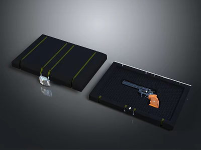 Revolver in Black Storage Case with Secure Lock and Protective Interior 3d model