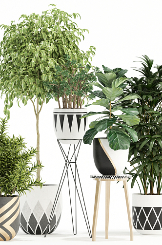 Nordic Potted Plant Collection 3d model