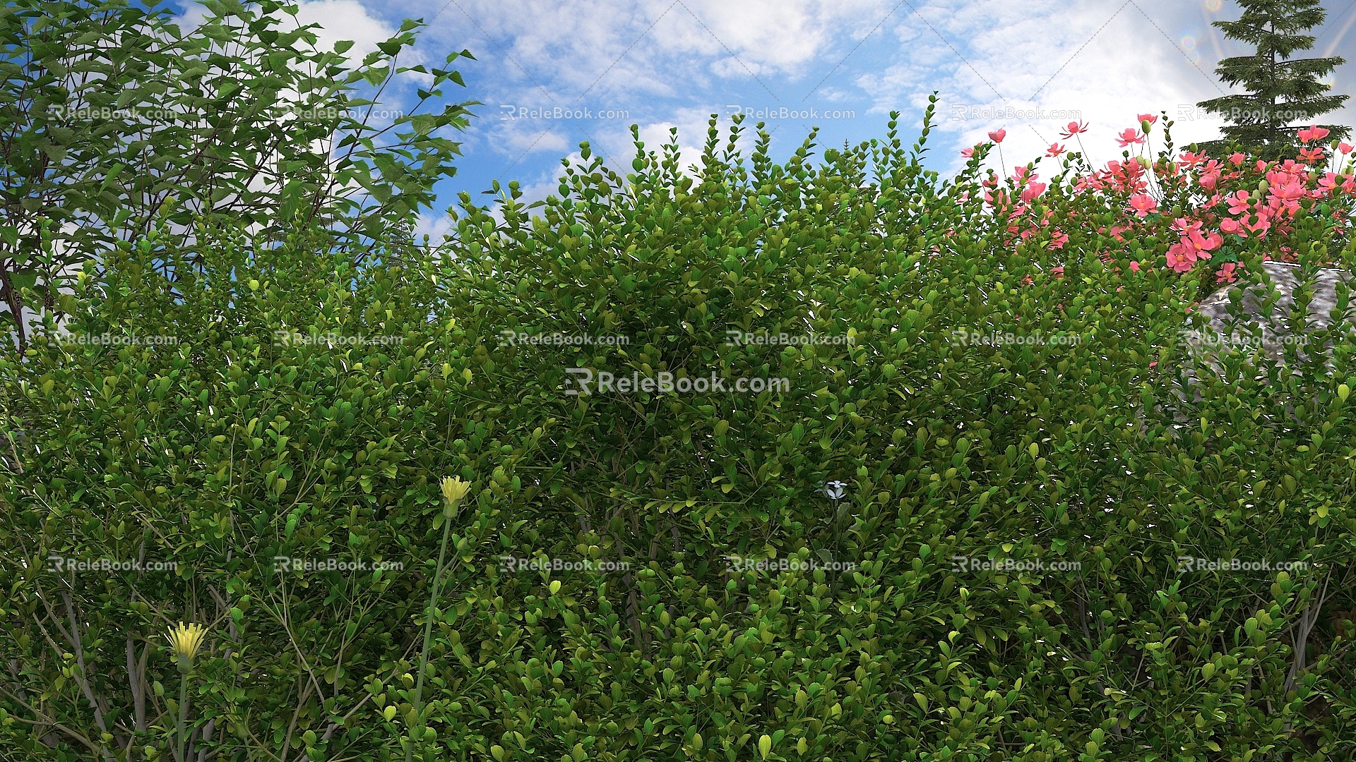 Modern Landscape Shrub Shrub Plant Combination Natural Landscape 3d model