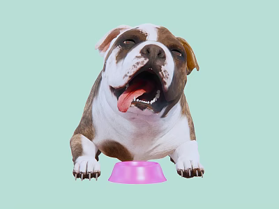 Vibrant Reptile Lizard Resting By Pink Bowl On Light Green Backdrop 3d model