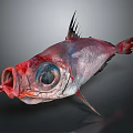 Vibrant Deep Sea Fish With Visible Organs Large Eyes Sharp Spines And Open Mouth