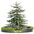 Tall Evergreen Arbor with Lush Foliage Surrounded by Green Shrubs and White Fence