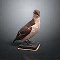 Detailed Bird Taxidermy Specimen Standing On Black Base Against Dark Background