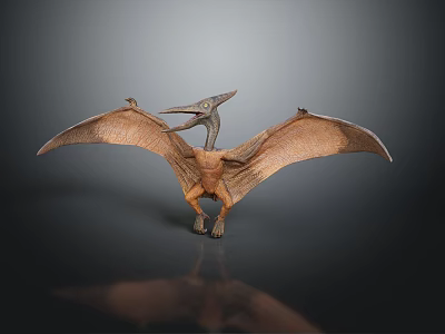 Pterosaur Model Displaying Spread Wings In Standing Pose On Dark Reflective Background 3d model