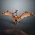 Pterosaur Model Displaying Spread Wings In Standing Pose On Dark Reflective Background 3d model
