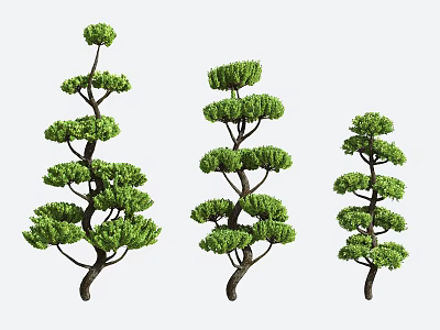 Three Shaped Arbor Trees With Lush Green Foliage And Dark Trunks For Garden Landscaping Design 3d model