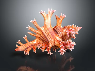 Vibrant Orange And Pink Striped Marine Animal Conch Shell With Spiky Protrusions 3d model