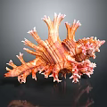 Vibrant Orange And Pink Striped Marine Animal Conch Shell With Spiky Protrusions