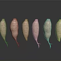Six Fresh Sweet Potatoes Arranged With Reflections On Dark Background