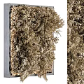Natural Green Living Plant Wall Design With Various Indoor Plants And Foliage