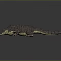 Crocodile Alligator Nile Crocodile carnivore reptile cold-blooded animal reptile 3d model