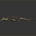 Crocodile Alligator Nile Crocodile carnivore reptile cold-blooded animal reptile reptile 3d model