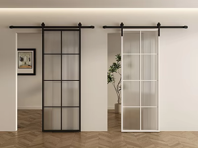 Modern Interior Sliding Barn Doors With Black White Frames And Glass Panels 3d model