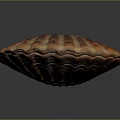 Vibrant Orange Brown Striped Scallop Shell Display On Dark Background