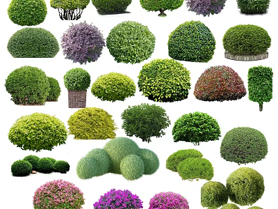 Diverse Ornamental Trees with Varied Shapes Green Purple Foliage and Rounded Forms 3d model
