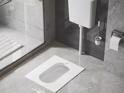 Modern Bathroom Interior Featuring Squat Toilet Gray Tiles Glass Shower And Paper Holder 3d model