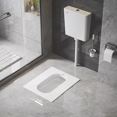 Modern Bathroom Interior Featuring Squat Toilet Gray Tiles Glass Shower And Paper Holder 3d model