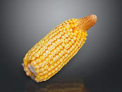Fresh Yellow Corn Cob With Juicy Kernels And Silk On Gray Reflective Background 3d model
