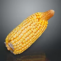 Fresh Yellow Corn Cob With Juicy Kernels And Silk On Gray Reflective Background