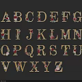 Floral Decorated English Alphabet Letters With Golden Frames On Black Background