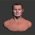 Man Bust With Bald Head And Shirtless Torso On Gray Background With Reflection
