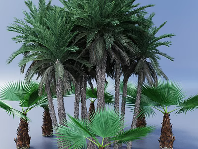 Tall Palm Trees With Lush Green Fronds And Sturdy Trunks Surrounded By Smaller Palm Plants 3d model