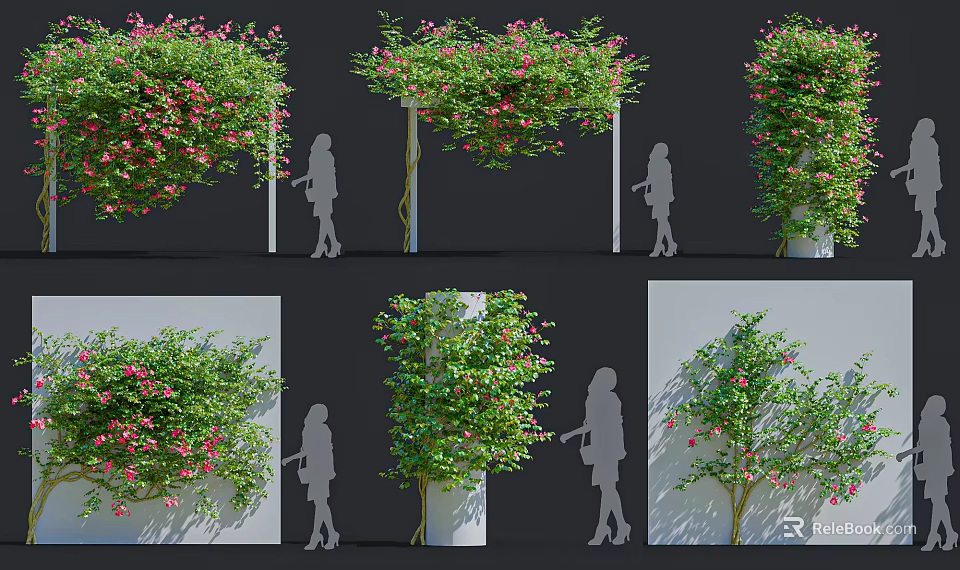 Decorative Flowering Vines With Pink Flowers And Different Shapes For Outdoor Garden Decor 3d model 