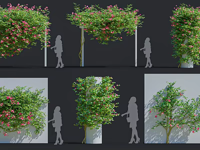 Decorative Flowering Vines With Pink Flowers And Different Shapes For Outdoor Garden Decor 3d model