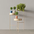Stylish Gold Metal Plant Stand With Various Colored Pots And Green Plants Home Interior