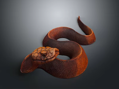Brown Scaled Snake Coiled on Gray Background with Detailed Texture 3d model