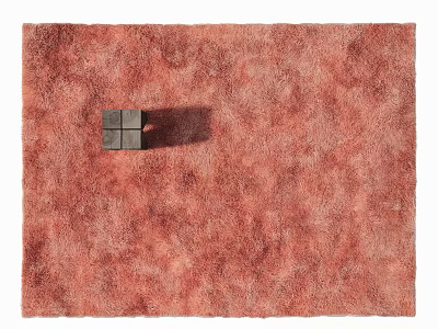 Reddish Brown Plush Square Area Rug With Small Square Decorative Object 3d model