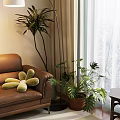 Bonsai Potted Plant in Living Room with Brown Leather Sofa Green Cushion and Window Curtains