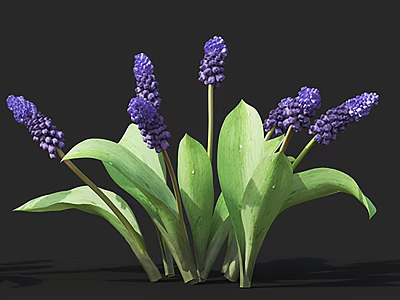 Lush Purple Clustered Flowers With Vibrant Green Leaves And Fresh Blooms 3d model