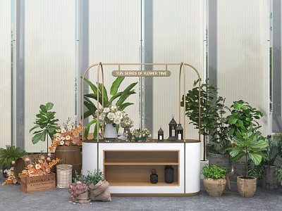 Attractive Display Shelf With Decorative Plants Flowers And Small Ornaments 3d model