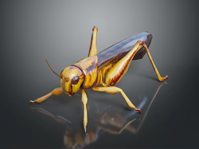 Yellow and Brown Striped Grasshopper With Long Legs And Shiny Surface Reflection 3d model
