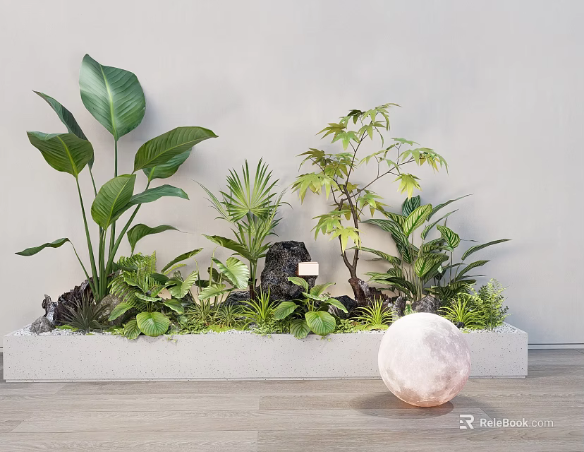 Green Plants in Rectangular Planter with Light Wall Wooden Floor Decorative Lantern and White Sphere 3d model