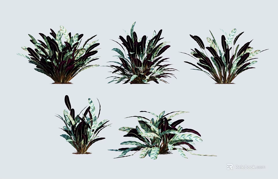 Various Green Leafy Plants With Colorful Foliage For Indoor Decoration Different Shapes And Textures 3d model 