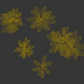 Gold Vein Justicia Perennial Evergreen Foliage Plant With Green Leaves And Gold Veins